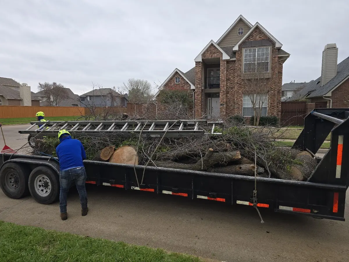 Expert Tree Pest Control with proper safety equipment in Vinton